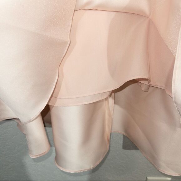 NWT Alfred Sung Blush Sleeveless Hi-Low Cocktail Formal Dress Size 18 - Picture 6 of 10
